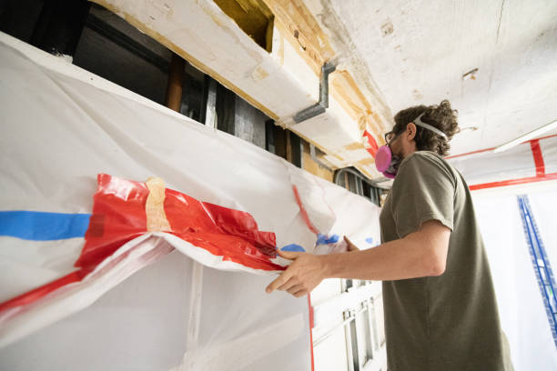 Best Air Quality Testing for Mold Spores  in Laingsburg, MI